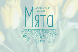 Мята