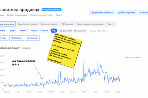 Рост х3 за год, частичное сопровождение | Ozon