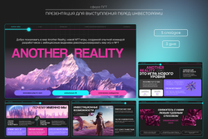 Презентация для инвесторов NFT проекта