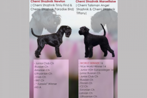 Работа 3675408