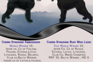 Работа 3675407