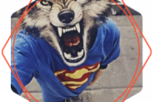 Рекламная статья для сайта