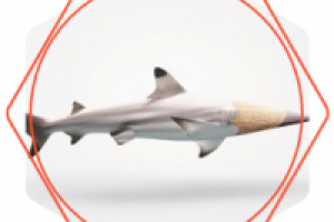 Продающий текст: описание сервиса