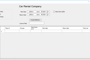 Учебное приложение для access для компании каршеринга