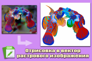 Отрисовка по фото в векторе