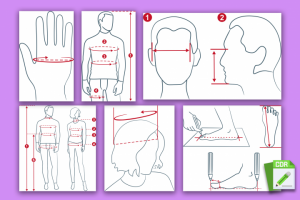 Создание лайн арт иллюстрации в векторе по ТЗ и референсам