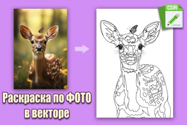 img4587793.png
