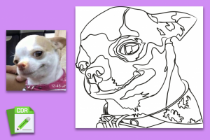 Векторная графика по фото, линейный рисунок, раскраска по фото