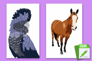 Векторая графика, векторная иллюстрация на заказ