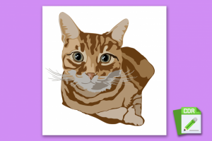 Отрисовка в векторе по фото