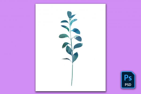 img4463403.png