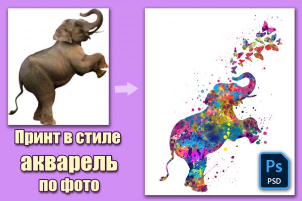 img4435801.png
