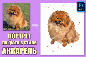 Портрет питомца в стиле акварель