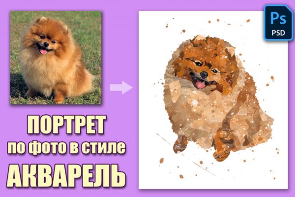 img4463408.png