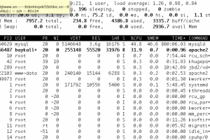 Администрирование web серверов