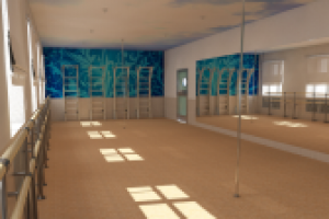 Фитнес-зал. Ракурс 1