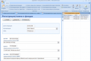 Регистрация организаций  (Access 2007)
