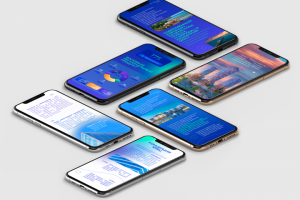 Презентация