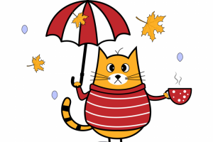 Забавный кот