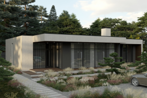 Визуализация дома