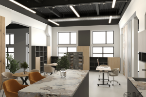 Визуализация шоурума