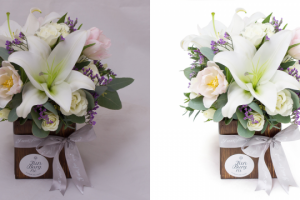 Обтравка (удаление фона) и ретушь цветов