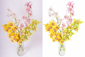 Обтравка (удаление фона) и ретушь цветов