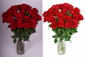 Обтравка (удаление фона) и ретушь цветов