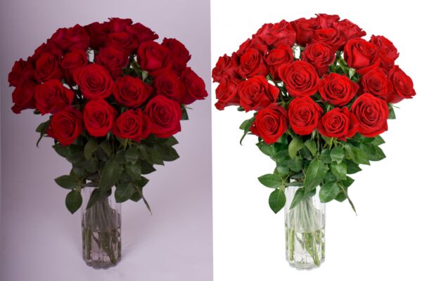 img3584552.png