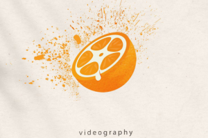 Логотип для видеографа