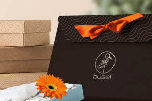 Аист логотип и стиль