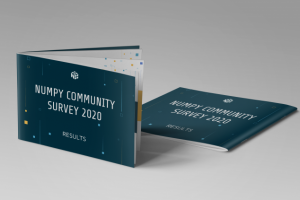 отчет для IT компании