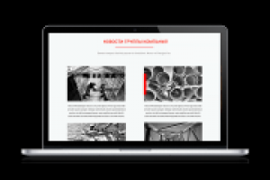 Работа 2432096