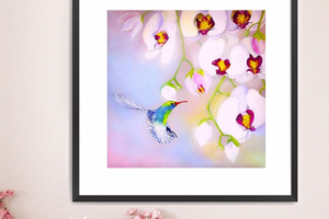 колибри (пастель, масло)