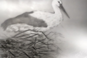 Работа 1671922