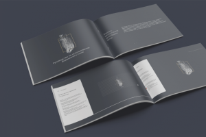 Брендбук DetectX