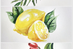 Акварельные иллюстрации