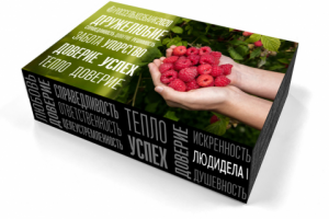 Вариант дизайна коробки для Россельхоз Банка