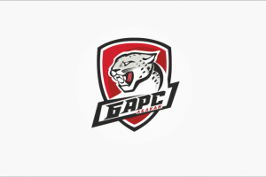 спортивная команда