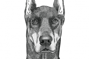 Перевод в вектор