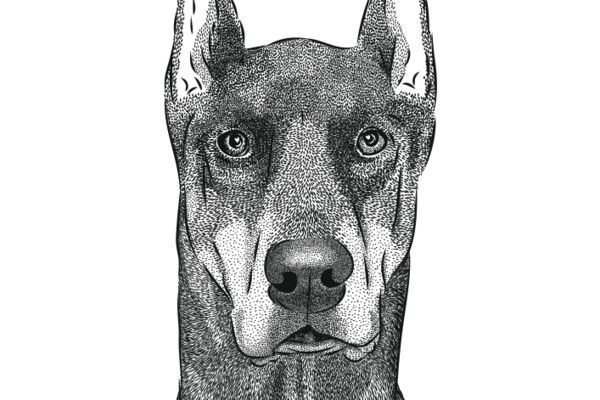 img4629587.png