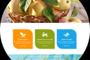 Сайт производителей сельхозпродукции