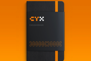 СТХ Среднетоннажная химия