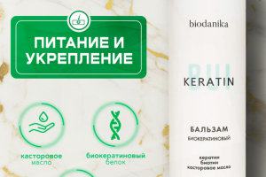 Инфографика