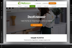 Дизайн лендинга ЭкоКлиниг