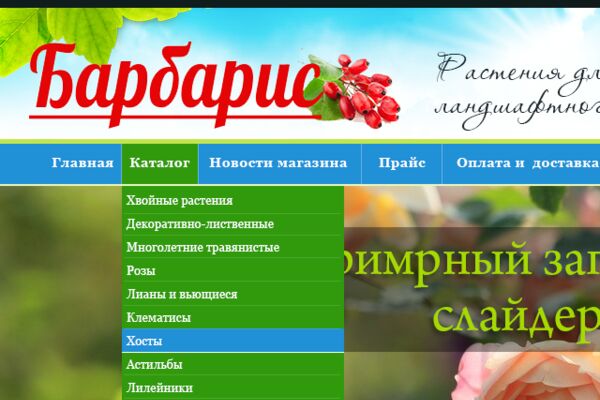 img3258869.png