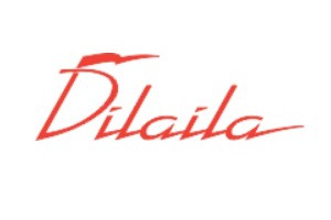 Аудит сайта туроператора dilaila.ru