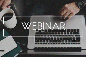 Расшифровка вебинаров по нетворкингу