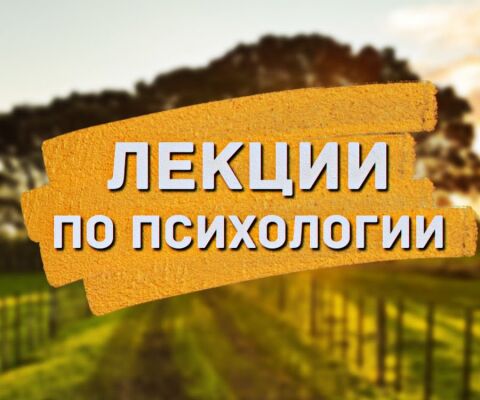 img3727726.png