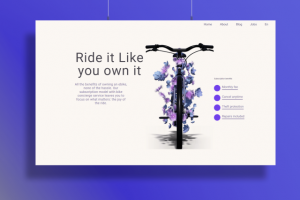 Продажа электровелосипедов